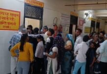 होली के दौरान अलग-अलग इलाकों में आवारा कुत्तों ने 300 से अधिक लोगों को काटकर किया घायल