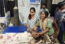 छत पर सामान रखने गई युवती पर बंदरों ने बोला हमला,तीसरी मंजिल से गिरकर हुई दर्दनाक मौत