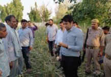 ओलावृष्टि से फसल नुकसान का जायजा लेने खेतों में पहुंचे डीएम अतुल वत्स, तत्काल सर्वे के दिए निर्देश