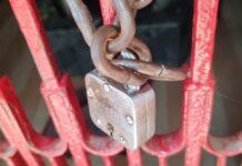 लोकेश्वर महादेव मंदिर में अज्ञात चोरों ने चोरी का किया प्रयास,पुलिस जांच में जुटी