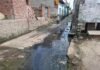 सासनी के गांव नया नगला में जलभराव और गंदगी से ग्रामीण परेशान, बच्चों औऱ बुजुर्गों का निकलना दुश्वार