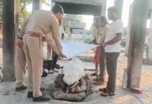 ADHR संस्था द्वारा अज्ञात शव का हिन्दू रीति-रिवाज से अंतिम संस्कार कराया गया