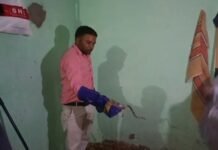 घर मे जहरीला सांप निकलने से मचा हड़कंप,वन विभाग की टीम ने पकड़ा